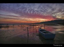 badia dels alfacs delta de lebre2.jpg